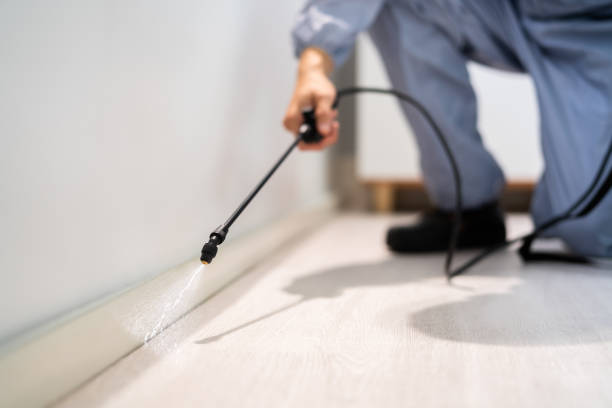 Licensed Termite Control service in Georgetown, OH - Nex Pest Control