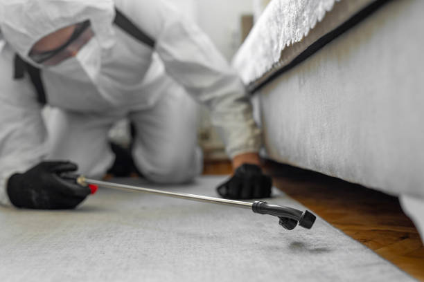 Professional Termite Control technician working in Georgetown, OH