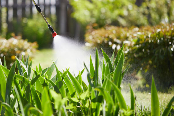 24/7 Emergency Termite Control experts in Georgetown, OH