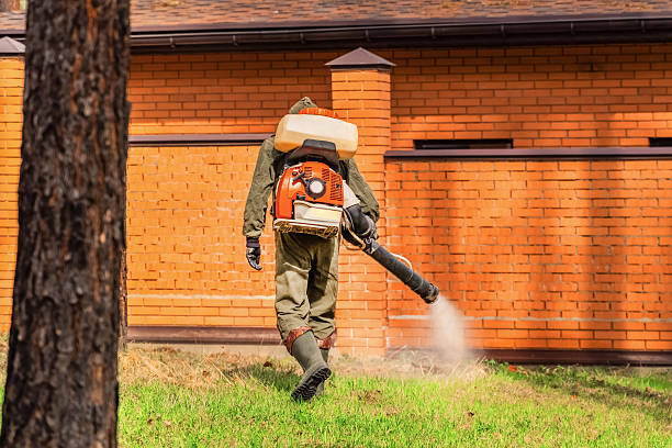 Top rated local Termite Control specialists in Georgetown, OH